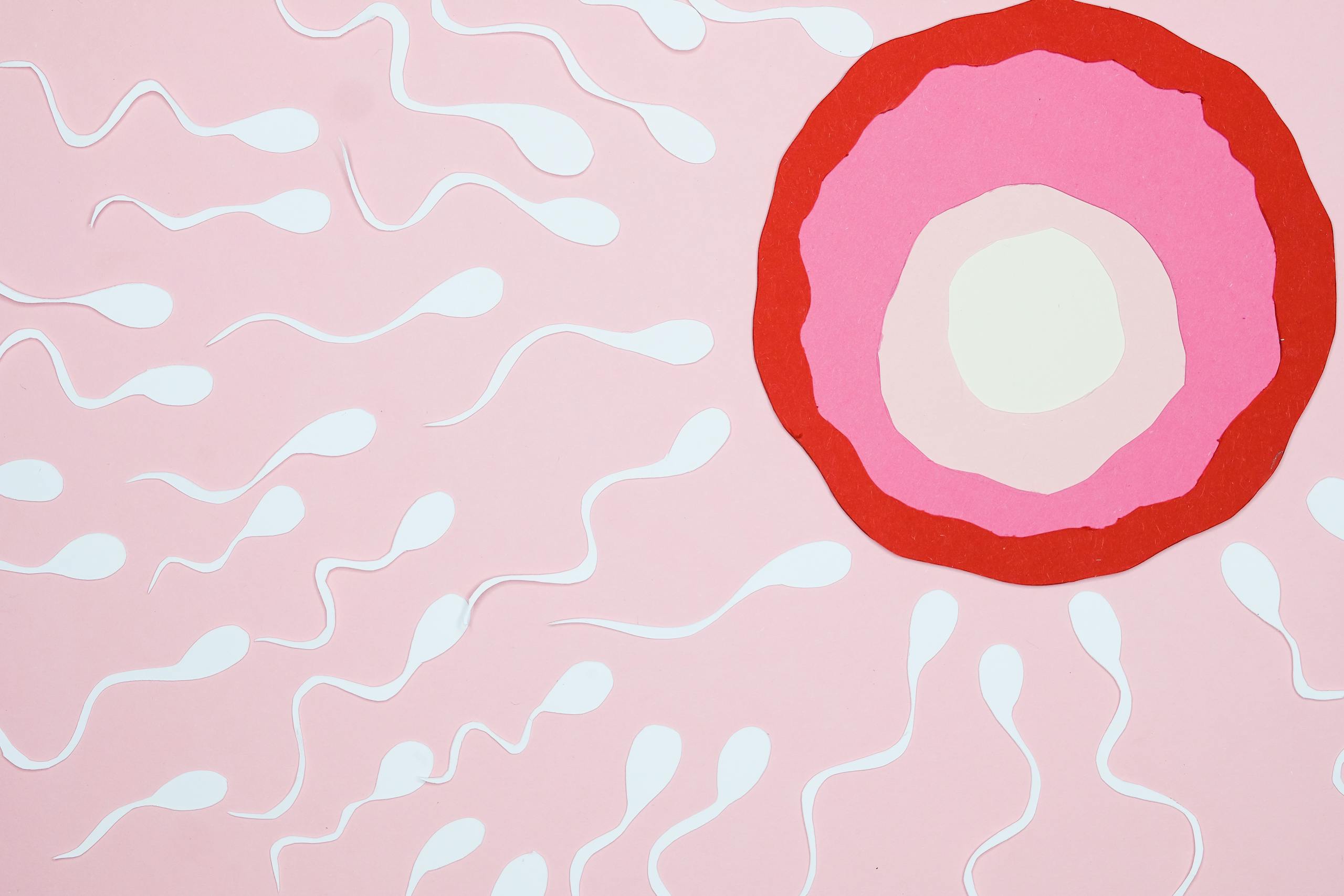 Creative illustration showing sperm moving towards an egg, symbolizing fertilization.